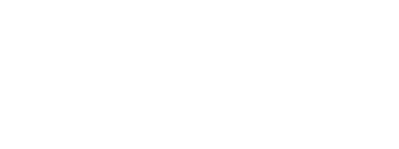 NY.FW Collections